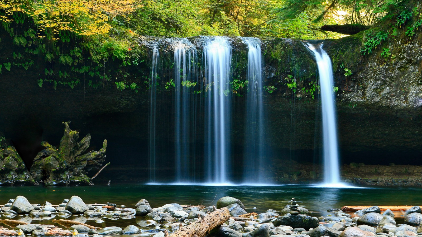 waterfalls_from_green_algae_covered_rock_pouring_on_lake_stones_in_green_trees_forest_background_4k_hd_nature-1600x900.jpg